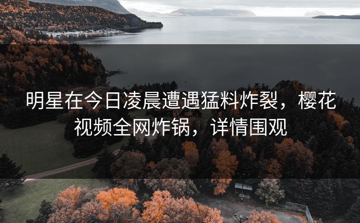 明星在今日凌晨遭遇猛料炸裂，樱花视频全网炸锅，详情围观